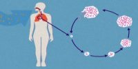 fungi infects through inhaled spores
